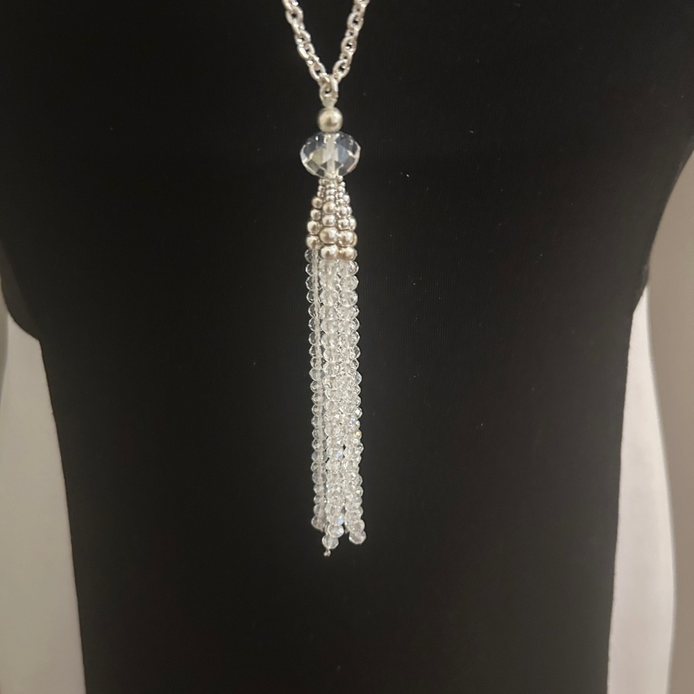 Silver and Crystals Tassel Long Necklace - Picture 3 of 5